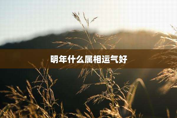 明年什么属相运气好
