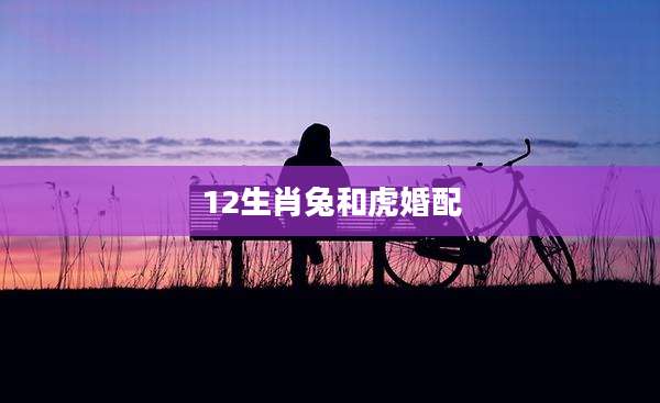 12生肖兔和虎婚配