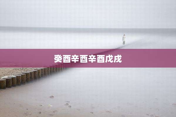 癸酉辛酉辛酉戊戌