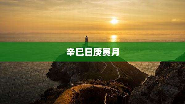 辛巳日庚寅月