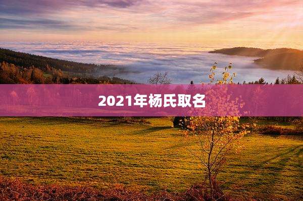 2021年杨氏取名