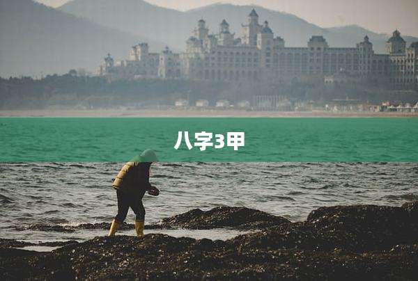 八字3甲