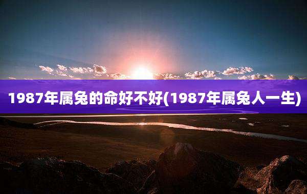 1987年属兔的命好不好(1987年属兔人一生)