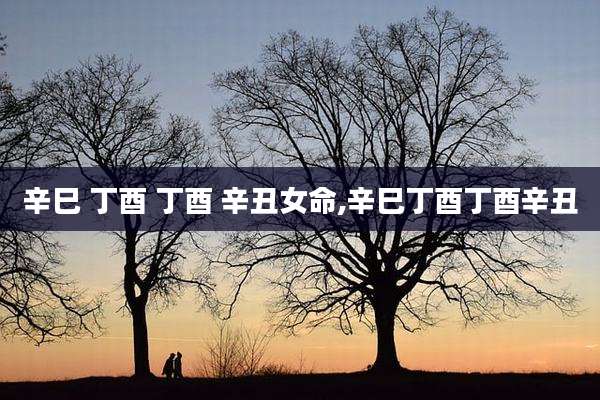 辛巳 丁酉 丁酉 辛丑女命,辛巳丁酉丁酉辛丑