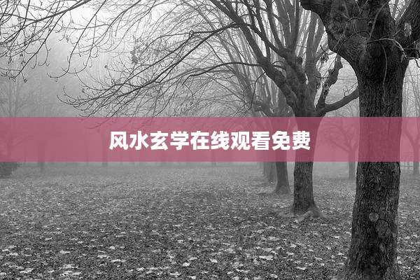 风水玄学在线观看免费