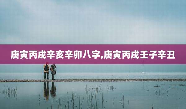 庚寅丙戌辛亥辛卯八字,庚寅丙戌壬子辛丑