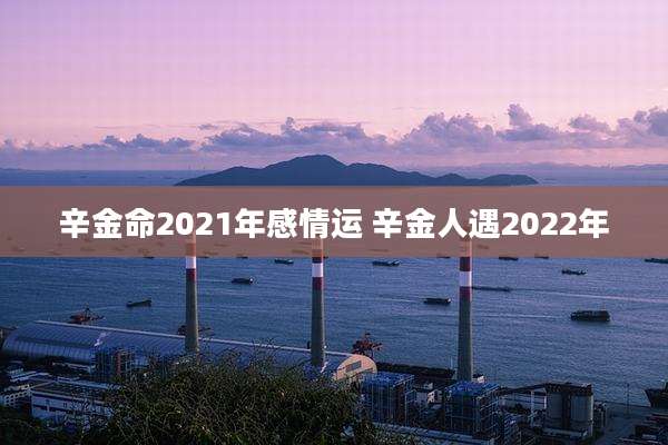 辛金命2021年感情运 辛金人遇2022年