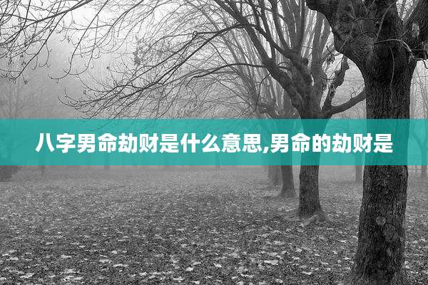 八字男命劫财是什么意思,男命的劫财是