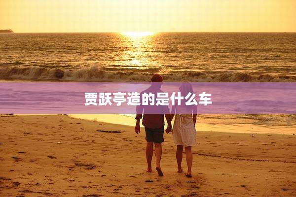 贾跃亭造的是什么车