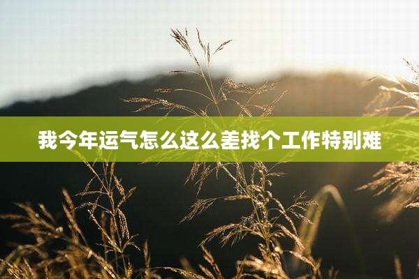 我今年运气怎么这么差找个工作特别难