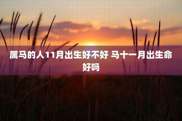 属马的人11月出生好不好 马十一月出生命好吗