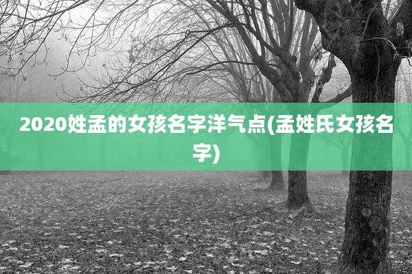 2020姓孟的女孩名字洋气点(孟姓氏女孩名字)