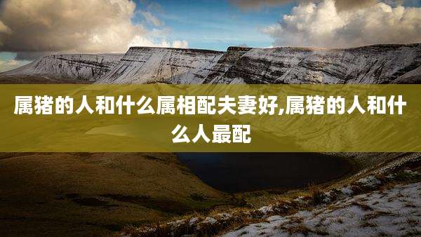 属猪的人和什么属相配夫妻好,属猪的人和什么人最配