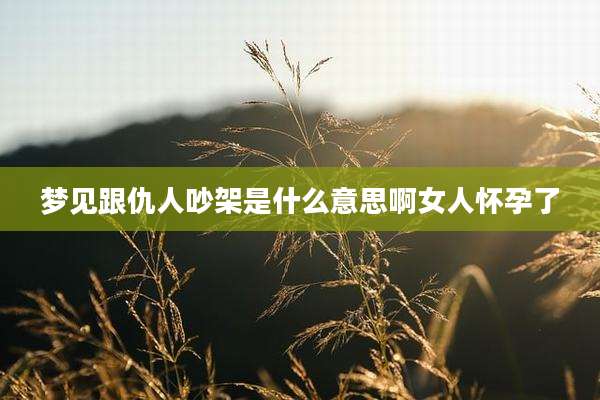 梦见跟仇人吵架是什么意思啊女人怀孕了