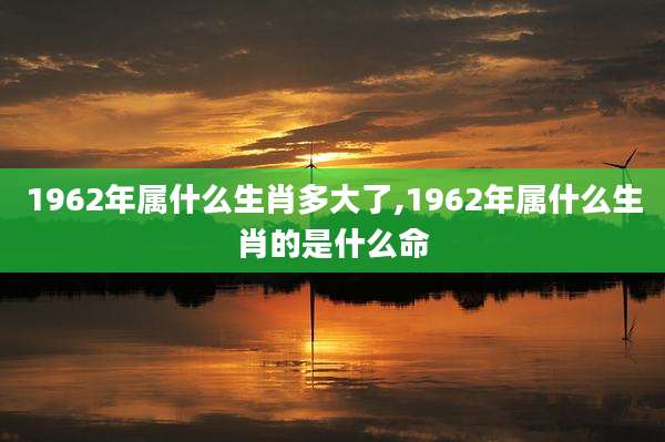 1962年属什么生肖多大了,1962年属什么生肖的是什么命