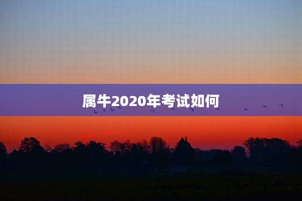 属牛2020年考试如何