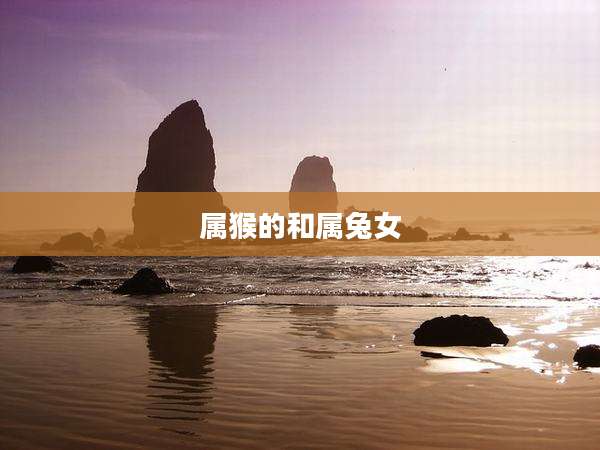 属猴的和属兔女