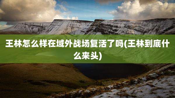 王林怎么样在域外战场复活了吗(王林到底什么来头)