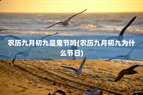 农历九月初九是鬼节吗(农历九月初九为什么节日)