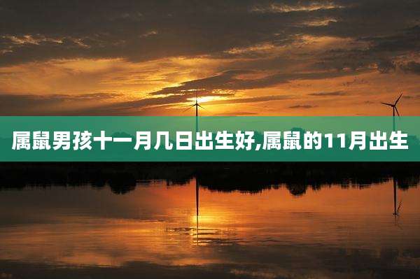 属鼠男孩十一月几日出生好,属鼠的11月出生