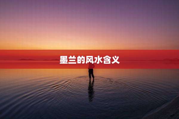 墨兰的风水含义