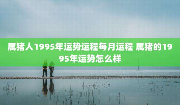 属猪人1995年运势运程每月运程 属猪的1995年运势怎么样