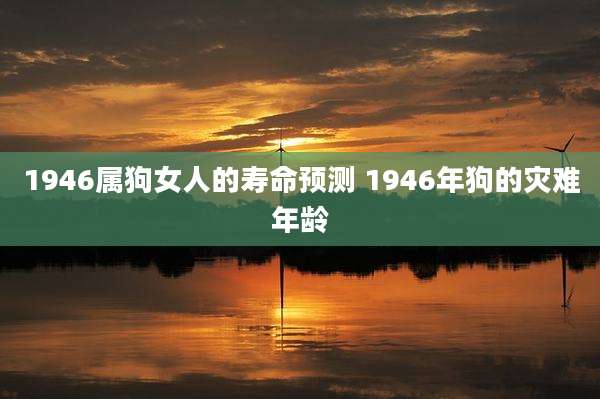 1946属狗女人的寿命预测 1946年狗的灾难年龄