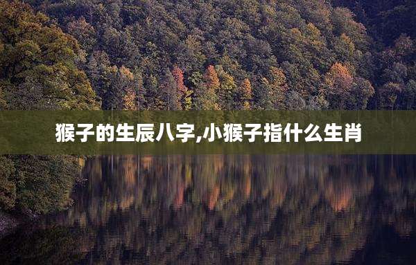 猴子的生辰八字,小猴子指什么生肖