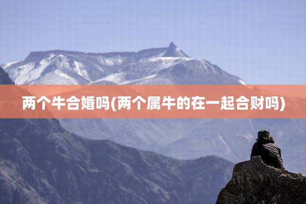 两个牛合婚吗(两个属牛的在一起合财吗)