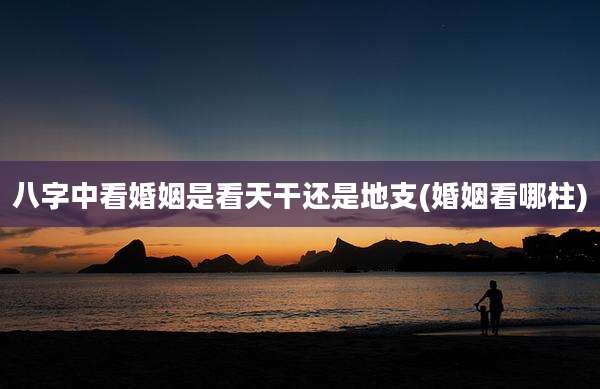 八字中看婚姻是看天干还是地支(婚姻看哪柱)