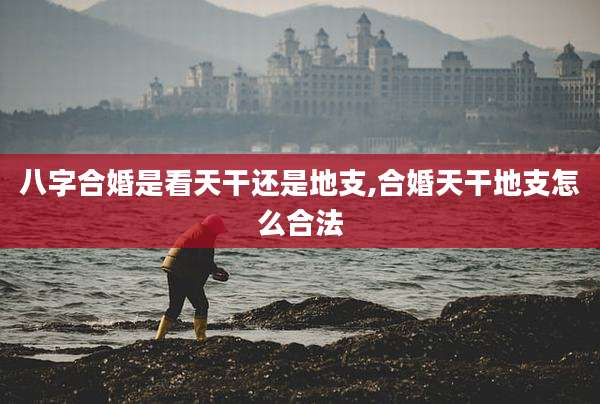 八字合婚是看天干还是地支,合婚天干地支怎么合法