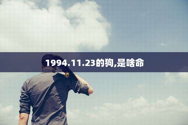 1994.11.23的狗,是啥命