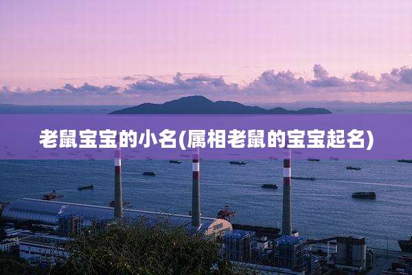 老鼠宝宝的小名(属相老鼠的宝宝起名)