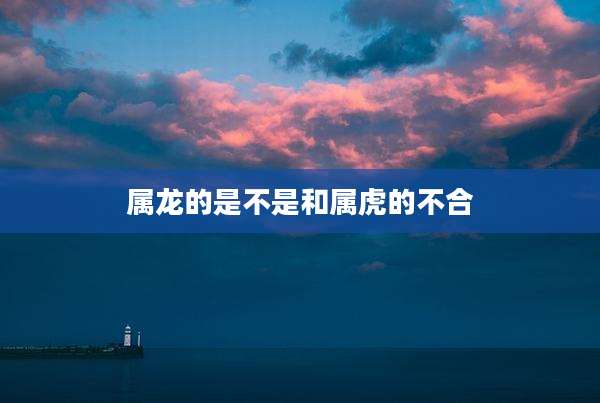 属龙的是不是和属虎的不合