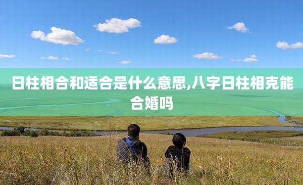 日柱相合和适合是什么意思,八字日柱相克能合婚吗