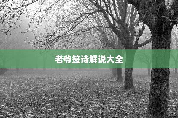 老爷签诗解说大全