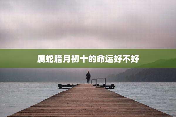 属蛇腊月初十的命运好不好