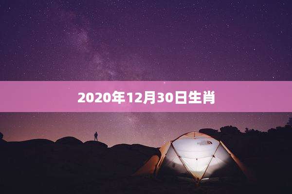 2020年12月30日生肖