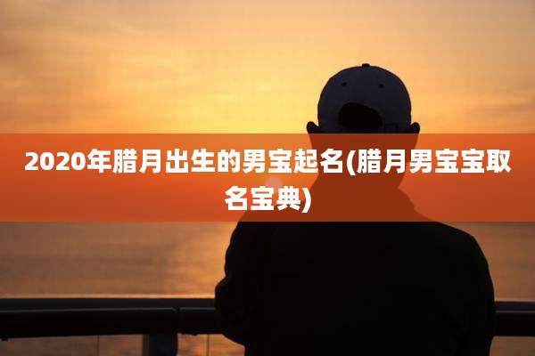 2020年腊月出生的男宝起名(腊月男宝宝取名宝典)