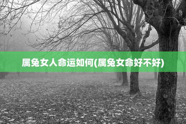 属兔女人命运如何(属兔女命好不好)