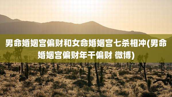 男命婚姻宫偏财和女命婚姻宫七杀相冲(男命婚姻宫偏财年干偏财 微博)