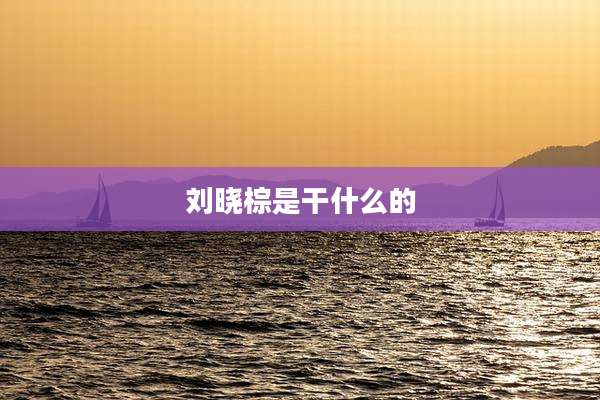 刘晓棕是干什么的