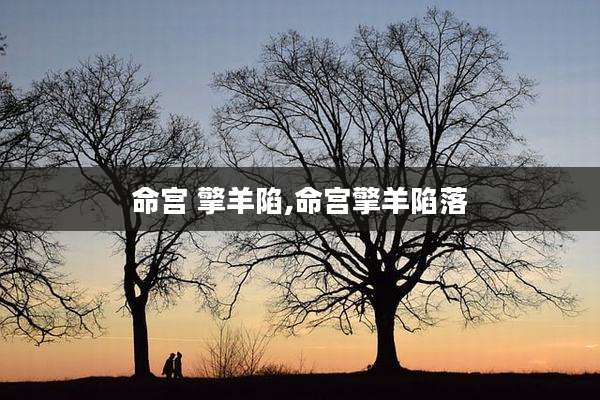 命宫 擎羊陷,命宫擎羊陷落