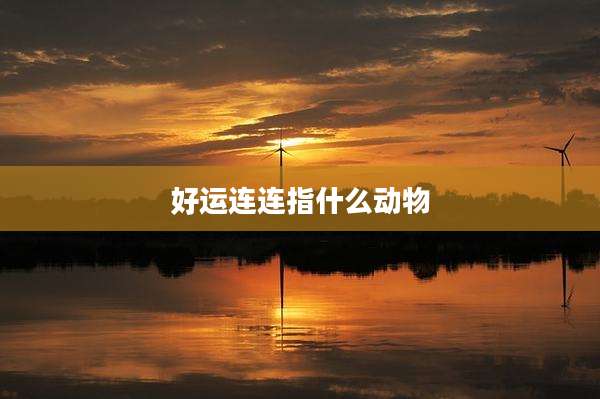 好运连连指什么动物