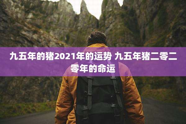 九五年的猪2021年的运势 九五年猪二零二零年的命运