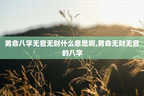 男命八字无官无财什么意思啊,男命无财无官的八字