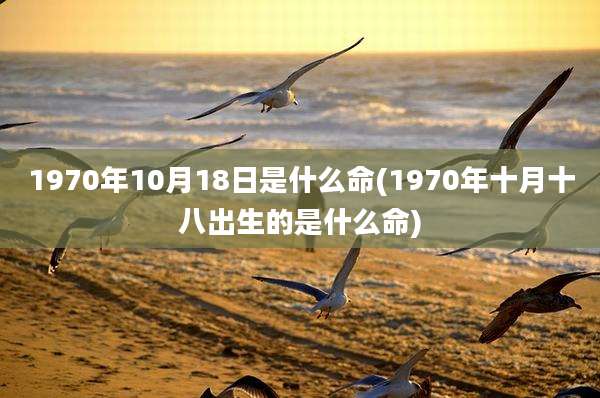 1970年10月18日是什么命(1970年十月十八出生的是什么命)