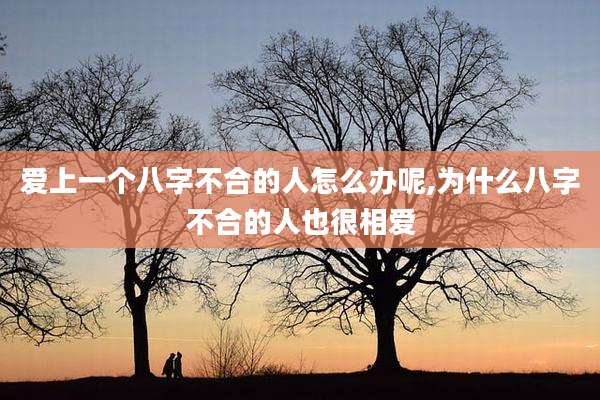 爱上一个八字不合的人怎么办呢,为什么八字不合的人也很相爱