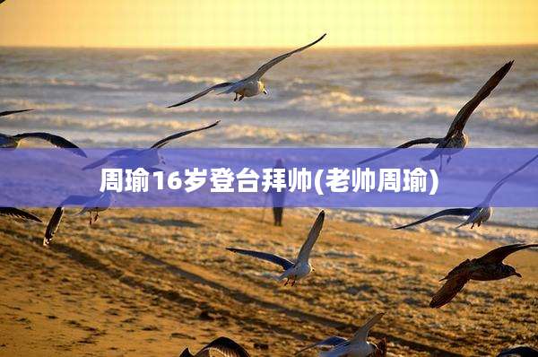 周瑜16岁登台拜帅(老帅周瑜)