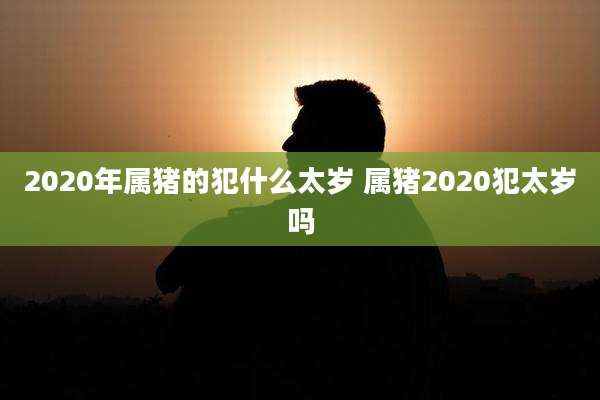2020年属猪的犯什么太岁 属猪2020犯太岁吗